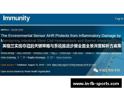 英格兰实现夺冠的关键策略与系统推进步骤全面全景深度解析方案集